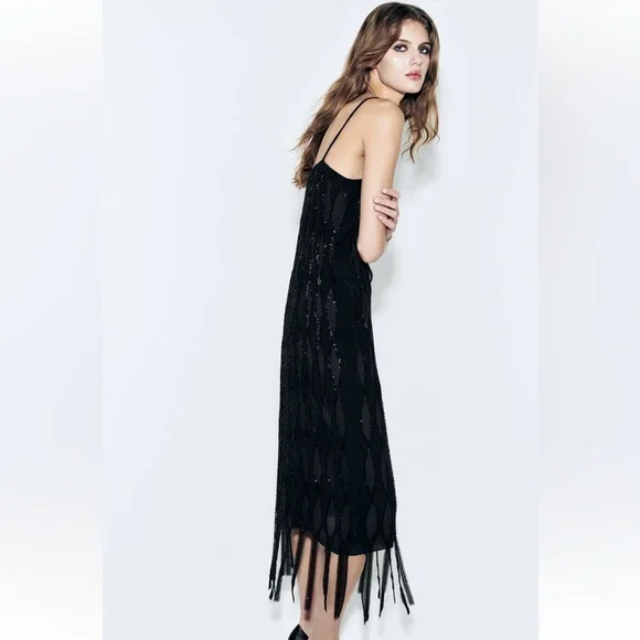 NWT Zara Sequin Beaded Fringe Dress - Picture 7 of 16